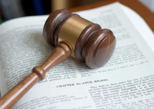 Quelles spécialités choisir pour faire des études de droit ?