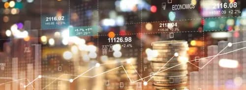 Tout savoir sur la spécialité SES