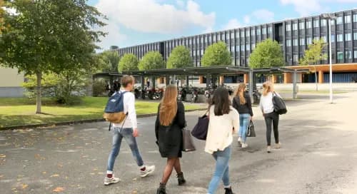 Quels sont les 13 enseignements de spécialités au lycée ?