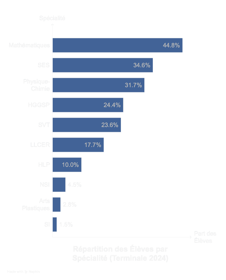 Terminale 2024-2025 : les spécialités les plus choisies et comment bien orienter votre ado en France